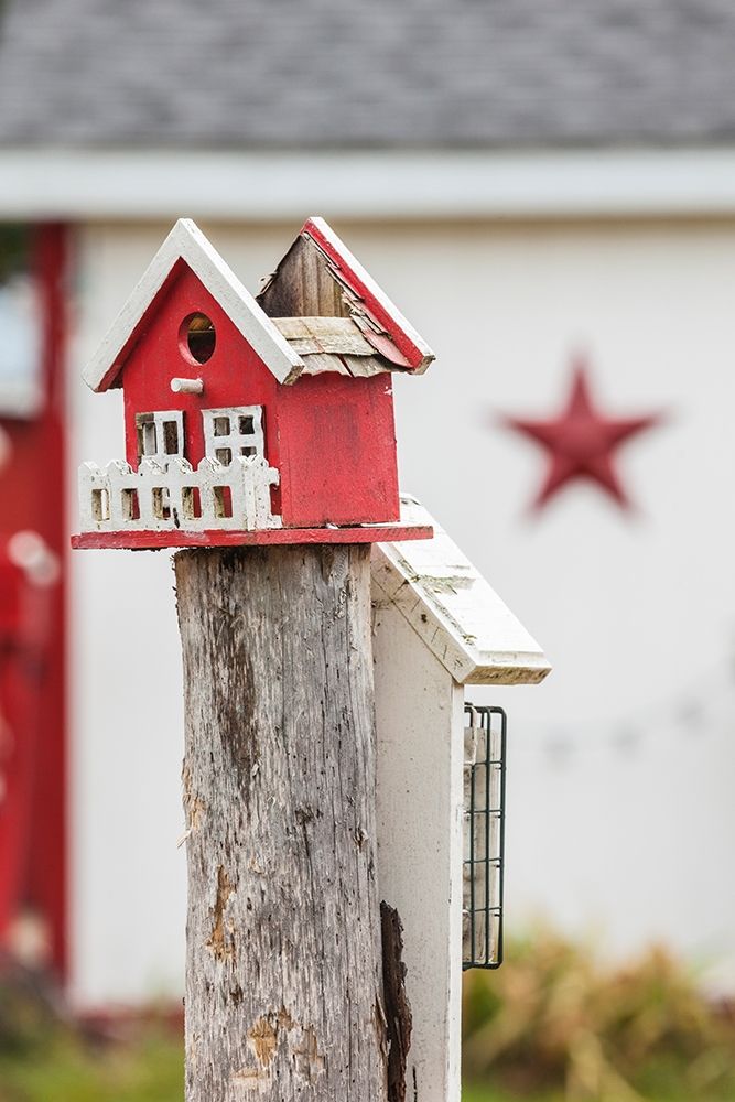 Canada-New Brunswick-Kennebecasis River Valley-Smiths Creek-birdhouses